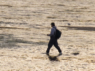 If I could walk on water, would you believe in me? JESSE HARMS