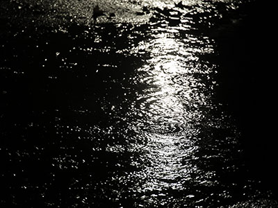 When it rains all day, my pictures are bad.