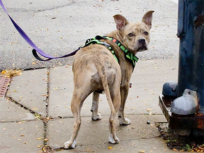 `You talkin` to me?`