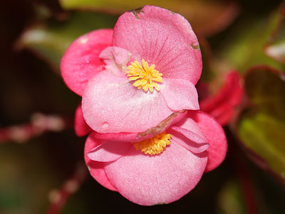 That looks like sunlight, but it`s fake.