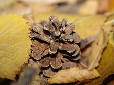 I spend a lot of time crawling around on the ground.