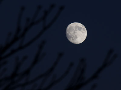 Look up and remember your insignificance.