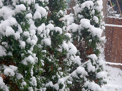 And thus begins the long, dark night of the soul.