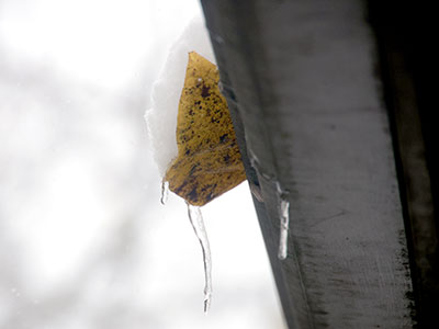 How many days until spring?