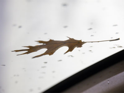 When my camera stays in the bag until the evening, then nothing good happens.