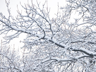 And then something really bad happened.  Send help.