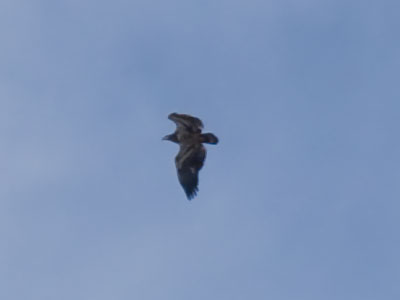 High above downtown Dayton.