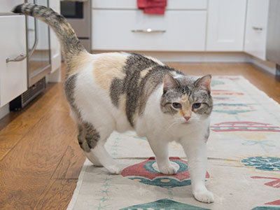 This is their other child.