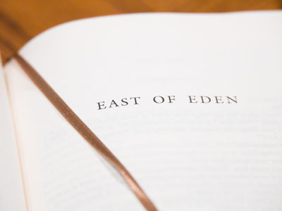 I`ve been a great Steinbeck fan since my youth, but am just starting this novel today.