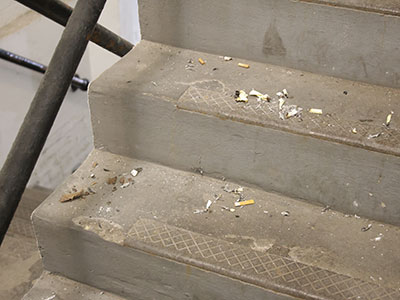 My parking garage seems to have some new residents.