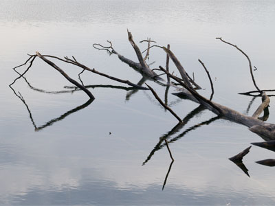 Interesting, but something`s missing.