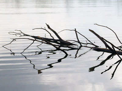 Ah, it needed a little wind to create wavy reflections.