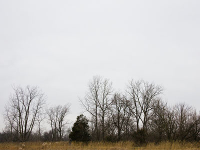 People tell me with a straight face that they like winter.