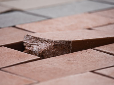 An accident -- and lawsuit -- waiting to happen.