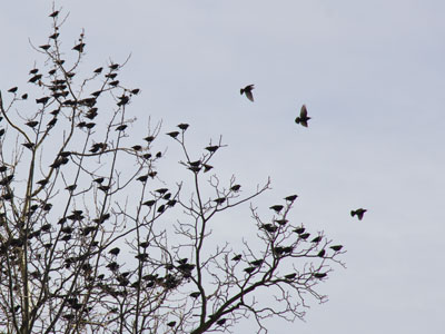 The sidewalk was . . . very dirty.
