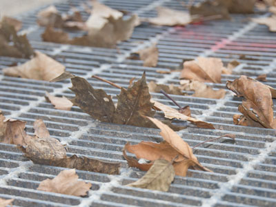 Someone else might be able to find beauty in winter.