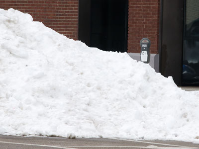 Has anyone seen my car?