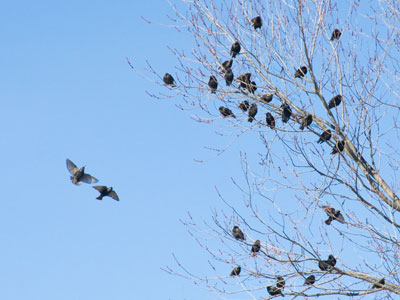 Birds of a feather commiserate together.