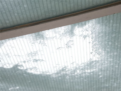 `Neath the Schuster Center.