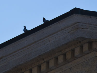 It was warmer today, so I ventured outside for photos.