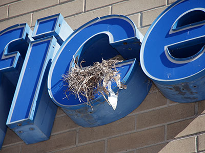 At the downtown post office.