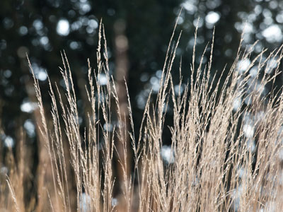 I call this making sumthin outta nuthin.