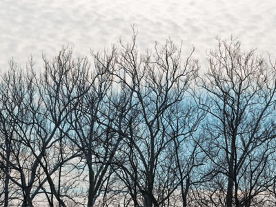 A last chance photo taken in the parking lot.