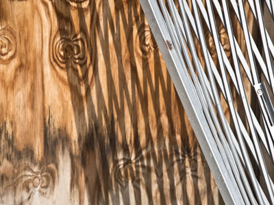 I was grateful for the sun.