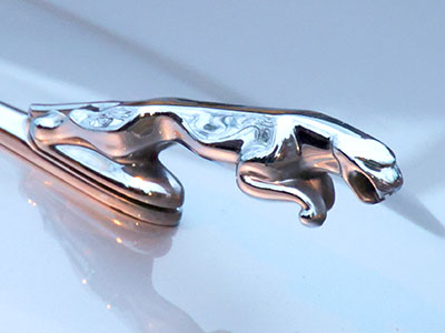 Wildlife in the Oregon District.