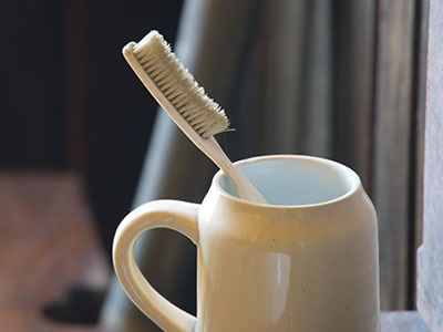 The horsehair toothbrush in PLD`s bathroom.