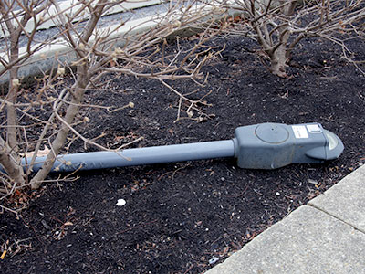 There`s a story here, I suppose.