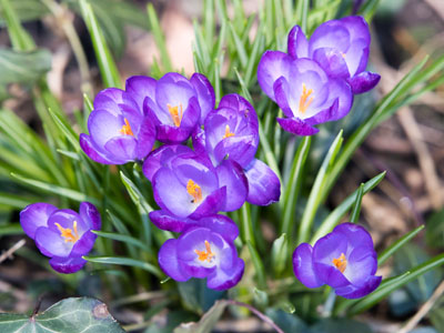 It`s still winter, but I believe in planning ahead.