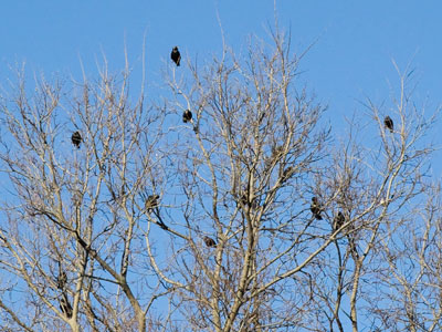 Looking down upon us in judgment.