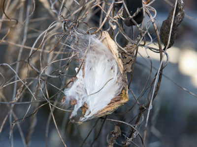 I feel like bustin` loose.