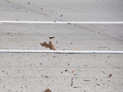 It`s hard to photograph the wind.