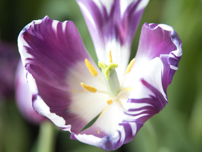 After the class, I took pictures for myself.