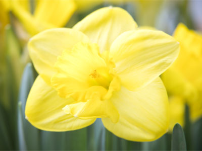 If I worked in this building, I`d probably sneeze a lot.