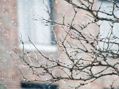 The spring pledge drive takes place during winter.