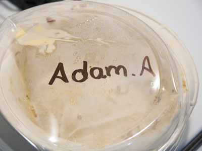 After a long, long day, lunch becomes dinner.