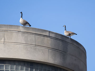 Don`t stand too close to that building.
