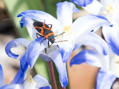 I finally had time to catch up with spring.