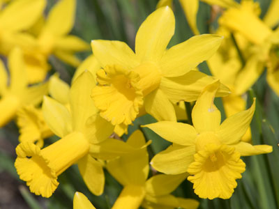 A redhead was being photographed nearby, but I maintained my composure (see August 10 and 16, 2014).