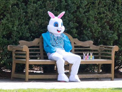 The stuff of nightmares.