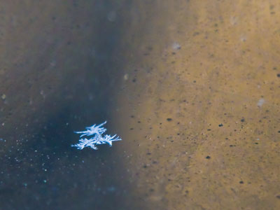 It`s spring.  Why is there frost on my windshield? (Compare to December 2, 2024)