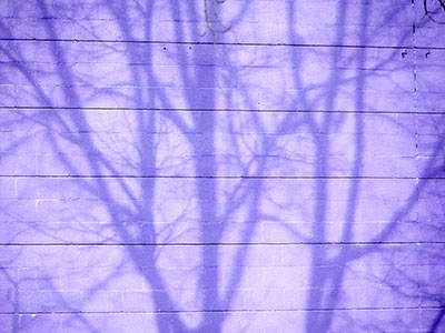 Who decided, `Let`s paint the building purple`?