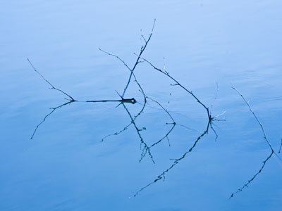 Still trying to imitate Brother John Lemker (see March 20 above).