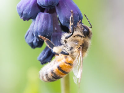 Very small, very important.