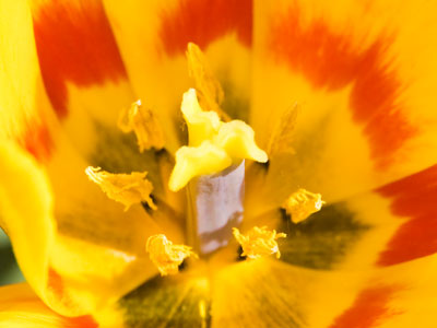 For lack of a better caption, I`ve now taken photos for 7,978 days in a row.