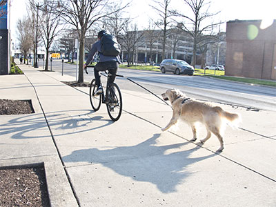 As I walked home from work, I was outpaced.