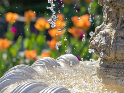 I`m not sure a smartphone can take a picture like this.